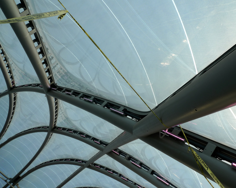 Illustration for article titled A Tour of the Futuristic Roof on California's High-Speed Rail Station